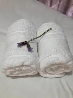 a rolled up towel with a purple flower on a bed at Johan-nest in Cape Town