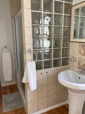 a bathroom with a shower and a sink and a toilet at Johan-nest in Cape Town