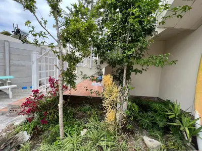 a garden with a bench and some trees and flowers at Coastal House: 3BR+Private Entrance+Self catering in Cape Town