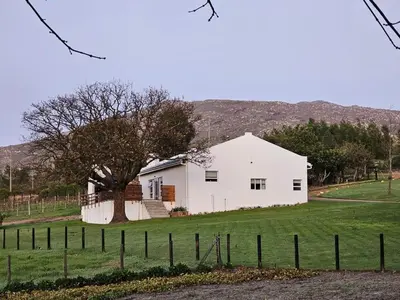 a white house with a tree in a field at Ou Meul Farm Cottage in Botrivier