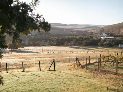 a field with a fence in the grass at Ou Meul Farm Cottage in Botrivier