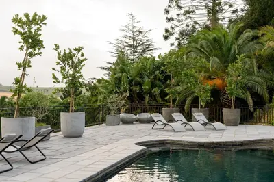 a patio with lounge chairs and a swimming pool at Avemore Rare Gem with full Backup Power in Stellenbosch