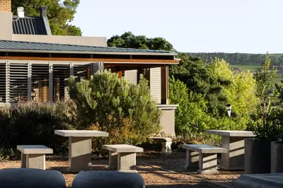a group of benches in front of a building at Avemore Olive Apartment - full Backup power in Stellenbosch