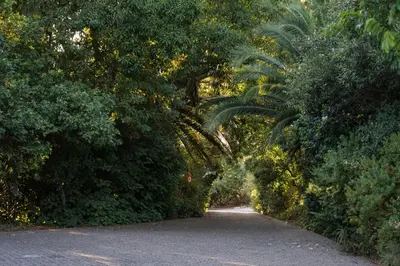 a path through a forest of trees and bushes at Avemore Orchard Apartment - with full Backup power in Stellenbosch