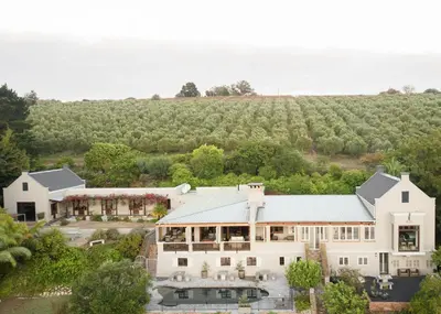 an aerial view of a house with a vineyard at Avemore Hidden Haven - wood fired hot tub and full Backup power in Stellenbosch