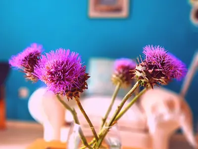 a vase filled with purple flowers on a table at Durbanville Pool House in Durbanville