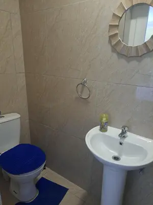 a bathroom with a sink and a toilet and a mirror at Olivia's guest house in Cape Town