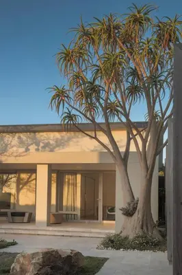 a palm tree in front of a building at Benguela Cove - Oceans Away in Hermanus