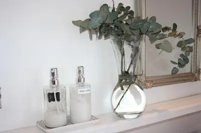 a vase with a plant and two bottles on a shelf at Eucalyptus Cottage in Cape Town