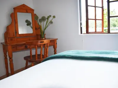a bedroom with a bed and a dresser and a mirror at The Botanical House in Somerset West