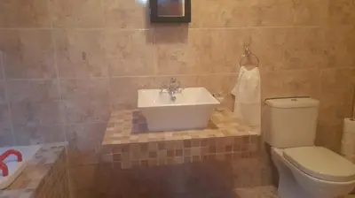 a bathroom with a sink and a toilet at THE TREE HOUSE in Grabouw