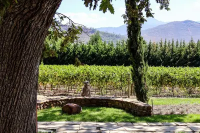 a stone bench in front of a vineyard at La Villa in Franschhoek