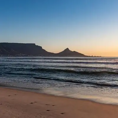 Ocean Vibes