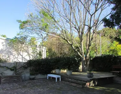 a blue bench in a yard with a tree at Lovely 1-bedroom rental with a pool in Cape Town