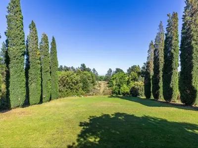 a large grassy field with trees in the background at Devon Castle Forest Lodge in Stellenbosch
