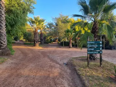 a street sign in the middle of a road with palm trees at Alimandi Nursery Cottage in Cape Town