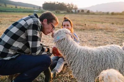 a man and a woman petting a sheep in a field at Farmstay at the Goat Shed Cottage, Spinlea Farm in Greyton