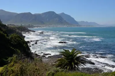 a beach with a palm tree and the ocean at Ocean Breeze @ Hermanus Beach Club in Hermanus