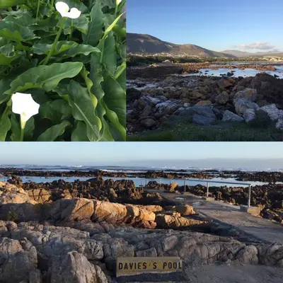 two pictures of the same view of the desert and rocks at The Treehouse Suite in Hermanus