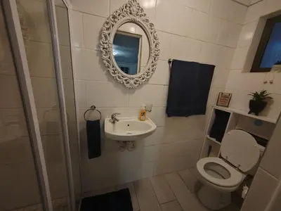 a bathroom with a toilet and a sink and a mirror at La Damon 1 in Paarl