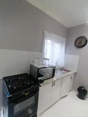 a kitchen with a stove and a microwave at Mila Lodge 1 in Cape Town