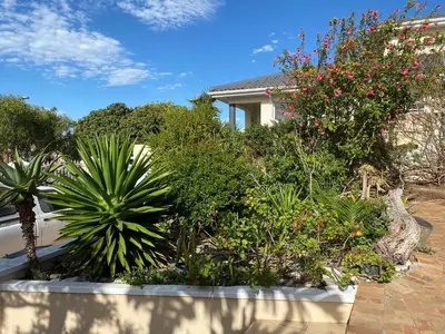 a garden of plants and flowers in front of a house at Blouberg Cosy 2 bedroom house in Cape Town