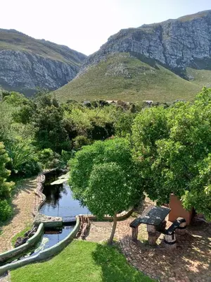 a view of a pond with a mountain in the background at Streams Cottage in Bettyʼs Bay