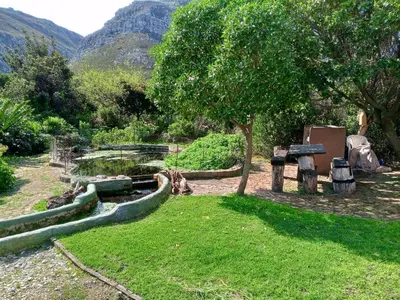 a park with a tree and a pond in the grass at Streams Cottage in Bettyʼs Bay