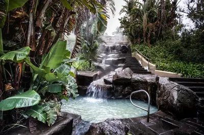 a plunge pool with a waterfall in a garden at The Caledon Hotel and Spa in Caledon
