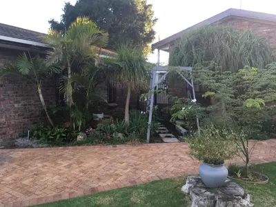 a garden with palm trees and a house at Aan de weg in Cape Town