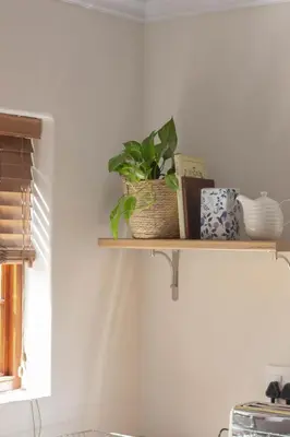 a shelf with plants and books on a wall at Three Streams Cottages in Franschhoek