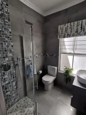 a bathroom with a shower and a toilet and a sink at Ocean and mountain breeze in Hermanus