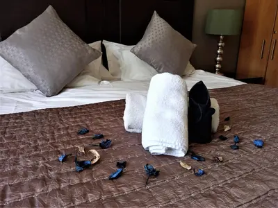 a group of blue birds on a bed at Mandalay Beach Guest House in Bloubergstrand
