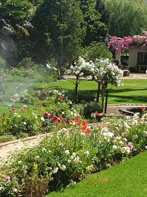 a garden with colorful flowers in a yard at Irma's farmstay at the Nuy Valley Guesthouse in Nuy