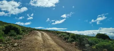 a dirt road in the middle of a field at Phumelela Private Game Farm in Pinegrove