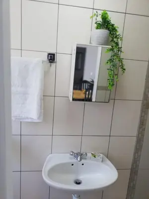 a white bathroom with a sink and a mirror at Rondebosch East Garlandale STRICTLY HALAAL, fresh garden cottage in Cape Town
